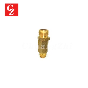Pièces détachées de compresseur d'air de haute qualité, soupape de retenue 54482484, compatible avec Ingersoll Rand - Product Image 6