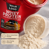 Poudre de Protéine de Lactosérum OEM ODM pour Crème Glacée, Complément Sportif, Formule Nutritionnelle pour la Récupération Énergétique