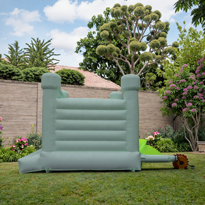 <span class=keywords><strong>2025</strong></span> Thiết Kế Mới PVC Tùy Chỉnh Màu Bạc Hà Màu Xanh Lá Cây Bouncer Inflatable Với Trượt Nhỏ Nhà Bị Trả Lại Cho Trẻ Em - Product Image 6