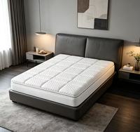 Matelas compressé King Queen Single Size en boîte, marques de matelas à mémoire de forme et à ressorts ensachés