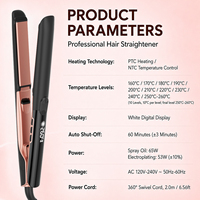 Lisseur professionnel Mesky MK-1126, fer à lisser PTC, logo personnalisé, vente en gros