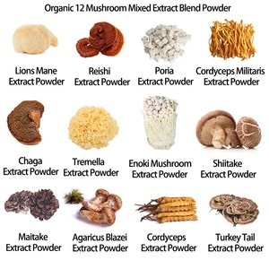 Aogubio cung cấp bổ sung sức khỏe sư tử bờm/Reishi/Chaga/Thổ Nhĩ Kỳ đuôi/Shiitake Hữu Cơ nấm chiết xuất bột pha trộn - Product Image 6