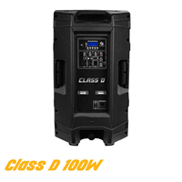 TOP vente DJ haut-parleur 15 pouces gamme complète 2 voies 100W haut-parleur Club haut de gamme avec fonction Radio Audio professionnel