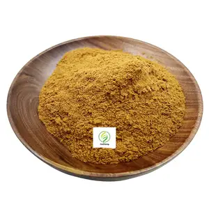 Factory Supplement High Quality Turkey Tail Mushroom Extract Powder Turkey Tail Mushroom Extract