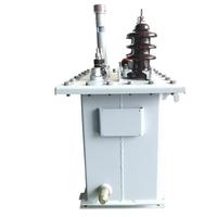 Transformateurs immergés dans l'huile monophasés HaiRui D11 personnalisables, 220V, ONAN, 50Hz/60Hz, tension de sortie 220V/380V/400V, Zhejiang, 2 bobines