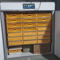 Couveuses à œufs polyvalentes intelligentes entièrement automatiques directes en usine nouvelle condition garantie 1 an