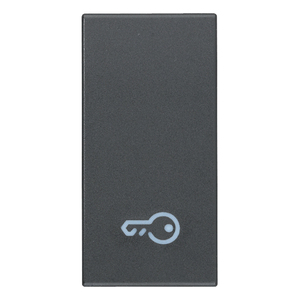 Key Symbol Wall <b>Switch</b> 2.2 In Length Gray Color For Home Use - Product Image 1