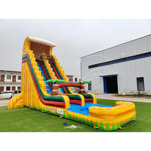 Tobogán Inflable Doble de Grado Comercial, Emocionante, para Piscina o Jardín, para Adultos y Niños, Alquiler para Fiestas de Verano - Product Image 5