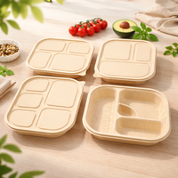 Boîte alimentaire jetable biodégradable en amidon de maïs avec couvercle séparé, compatible micro-ondes, résistante à la chaleur (-20°C à 120°C) pour