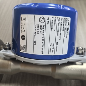 Medidor de Flujo de Flotador de Tubo Metálico KROHNE H250/RR/M40/ESK4/K1/Ex DN80 - Product Image 6
