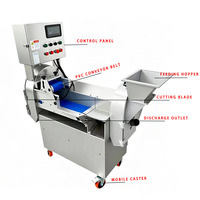 Commerciële industriële voedselsnijmachine, snij- en dobbelsteenmachine, roestvrijstalen groenteverwerker