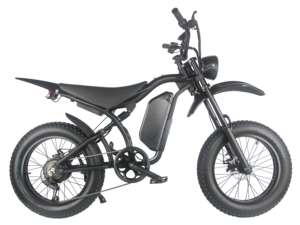 Bicicleta Eléctrica Enduro de 20 Pulgadas, Especializada, Rápida, 750w, Neumáticos Anchos, Suspensión Completa, Bicicleta de Montaña, Chopper, MTB - Product Image 2