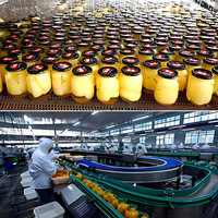Machine de mise en conserve semi-automatique multifonctionnelle en acier inoxydable 304 pour pêches jaunes, tranches d'ananas, fraises et cerises
