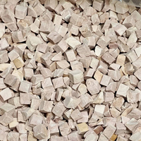 Friandises lyophilisées riches en protéines pour chiens N4P, nutrition complète et équilibrée avec du vrai poulet et du bœuf, douces pour les estomacs sensibles