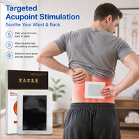 Fabricant de patchs adhésifs médicaux OEM ODM à marque privée pour la stimulation par pression des points d'acupuncture et le soulagement des douleurs musculaires
