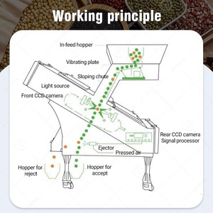 Tầm Nhìn Trái Cây Màu Gạo Lớp Lựa Chọn Chọn Tự Động Hạt Phân Loại Máy 520 Cho Gạo - Product Image 5
