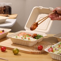 Vaisselle jetable écologique personnalisée, durable, non toxique, contenants à emporter, emballages alimentaires imperméables pour le camping