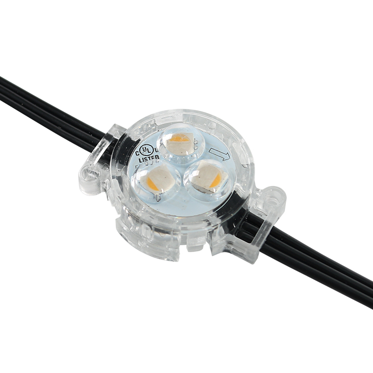 SHIJI Outdoor Addressable 48V Permanent Christmas Light Outdoor UCS2904 30mm RBGW LED Pixel Light