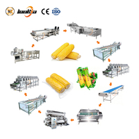 Ligne de production de maïs sucré en acier inoxydable SUS 304 : Laveuse de fruits, machine à éplucher le maïs, convoyeur de tri, machine à maïs sucré, machine à laver le maïs