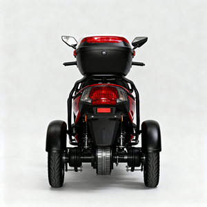 Potente Motore Brushless 150CC Triciclo a Benzina Modello <span class=keywords><strong>TYC</strong></span> Velocità Massima 40-60km/h 5.2KW Serbatoio da 7L per Trasporto Merci e Passeggeri - Product Image 6