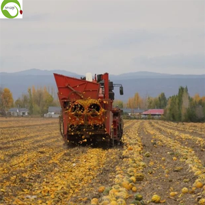 <span class=keywords><strong>Semi</strong></span> <span class=keywords><strong>di</strong></span> <span class=keywords><strong>zucca</strong></span> bianco neve crudi cinesi prezzo <span class=keywords><strong>semi</strong></span> <span class=keywords><strong>di</strong></span> <span class=keywords><strong>zucca</strong></span> 25kg <span class=keywords><strong>semi</strong></span> <span class=keywords><strong>di</strong></span> <span class=keywords><strong>zucca</strong></span> - Product Image 4