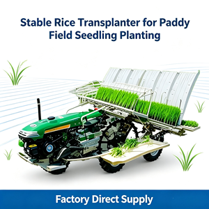 Trasplantadora de Arroz Compacta para Pequeños Agricultores y Granjas de Sustento - Product Image 6