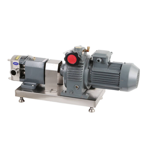 Bomba de transferencia sanitaria eléctrica de acero inoxidable de alta viscosidad con rotor lobular, personalizable para jarabe de chocolate, melaza y miel - Product Image 5