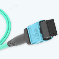 Cordon de raccordement à fibre optique MPO-MPO 8 cœurs de haute qualité OM4 ligne de fibre optique personnalisée 1M 2M 10M 20M
