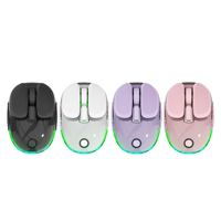 Souris de jeu transparente double mode T24 2,4 GHz BT Type-C RVB rétroéclairée rechargeable compacte ergonomique pour PC portable et bureau