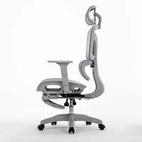 Chaise de bureau ergonomique en maille économique avec soutien lombaire adaptatif et repose-pieds dissimulé pour les acheteurs vietnamiens