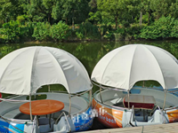 Bateau de loisirs électrique pour 8 personnes, idéal pour les fêtes, les sports nautiques et les barbecues sur le lac