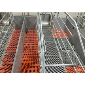 Nouvelle caisse de mise bas pour porcs en gros facile à installer avec acier galvanisé à chaud anti-corrosion pour truies - Product Image 3
