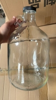 Bouteille de bière en verre Moonlight personnalisable avec logo, 1L, 2L, 2,5L, 4L, 5L, type Growler, pour vin de Californie et bière