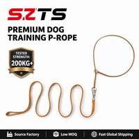 Laisse de dressage pour chien tout-en-un de type P, anti-étranglement et anti-traction, corde de promenade ergonomique pour chiots, chiens de taille moyenne et grande