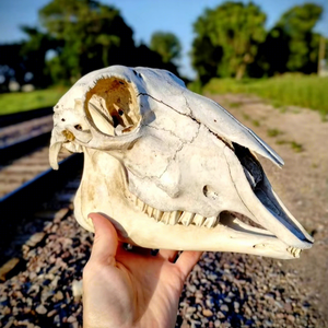 Statue d'animal sculptée en résine de qualité supérieure Tradebyd, figurine créative faite à la main pour les maisons modernes, décoration d'art de luxe - Product Image 1