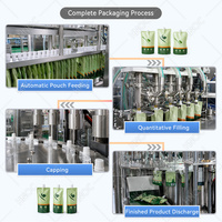 Machine de remplissage, de bouchage et de scellage HNOC Lineal Doypack pour sachets de protéines de lactosérum et aliments pour bébés avec poche à bec verseur