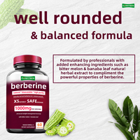 Capsules de berbérine de haute pureté Extrait de plante puissant Supplément de soutien immunitaire Capsules de berbérine 1000mg