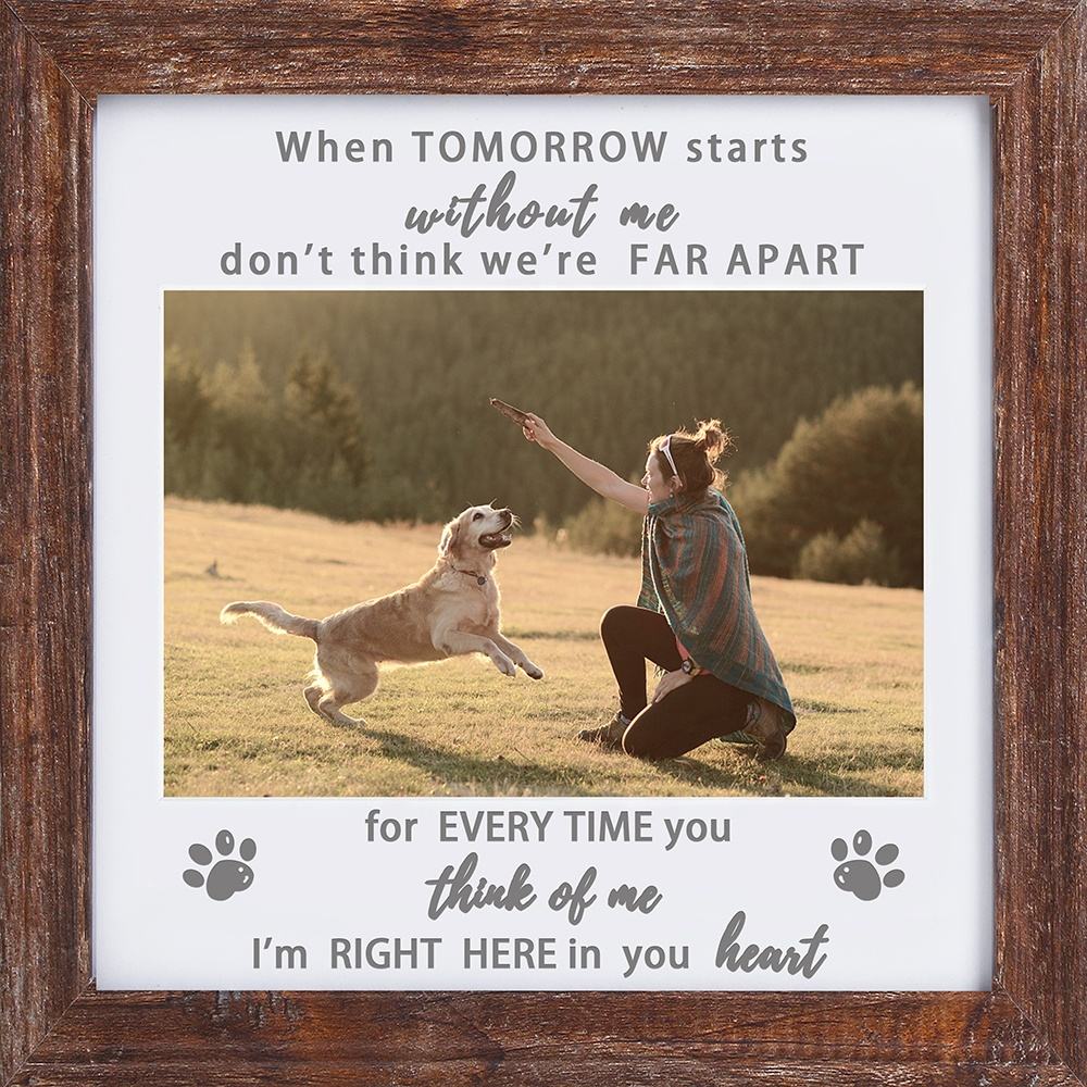 สีน้ำตาลอมเทา