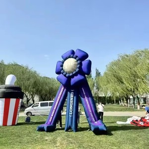 Promotion Exceptionnelle : Ballon Gonflable Géant d'Extérieur en PVC, Étanche et Résistant aux Intempéries, avec Souffleur d'<span class=keywords><strong>Air</strong></span> Intégré, Logo Personnalisable pour une Publicité Facile - Product Image 5