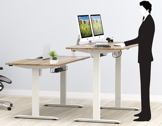 Manufacturer Customize Electric Height Adjustable Desk Dual Motor Standing Desk Home Office Furniture Table Solution