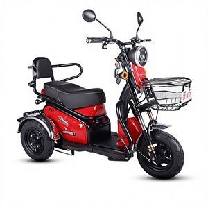 Nouveau modèle de tricycle électrique décontracté pour adultes, adapté à un usage domestique, transport de femmes, enfants, personnes âgées, petite autonomie de 70-90 km, vitesse de 30 km/h - Product Image 1