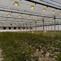 Serre agricole multi-chapelles GY GYG35 à économie d'énergie avec panneaux PC pour culture isolée