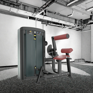 Cơ bụng căng phòng tập thể dục tập thể dục thiết bị thấp hơn trở lại mở rộng máy băng ghế dự bị & Rack loạt - Product Image 5