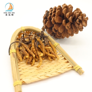 Hongo Cordyceps Luofmiss Silvestre Natural Puro a Granel de Alta Calidad, Hongo Orgánico, Compre Cordyceps <span class=keywords><strong>Sinensis</strong></span> - Product Image 4
