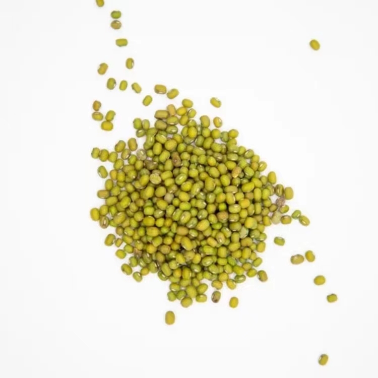 Small and medium-sized mung beans are basically free of bad beans when they are 2.5 mm-3.0 mm.