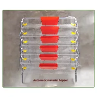 Mangeoire automatique anti-gaspillage pour cailles et pigeons |   Mangeoire en PP de qualité alimentaire à fixation sur cage pour l'élevage avicole multi-niveaux