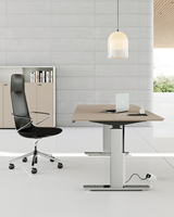 Escritorio Ejecutivo de Lujo con Patas de Aluminio, Altura Ajustable Eléctricamente, Mesa de Oficina Individual para Trabajar Sentado o De Pie, Venta al Por Mayor Comercial