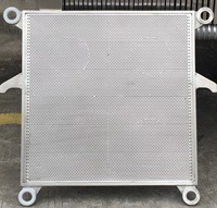 Presse à filtre manuelle à plaques et cadres en acier inoxydable DZ Material SS304 ou SS316L, résistante à la corrosion