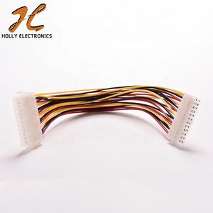 Cable <span class=keywords><strong>de</strong></span> Extensión <span class=keywords><strong>de</strong></span> Alimentación ATX <span class=keywords><strong>de</strong></span> 24 Pines Macho a Hembra para Computadora, 30 cm, Certificado RoHS, Conector <span class=keywords><strong>de</strong></span> PVC+<span class=keywords><strong>Cobre</strong></span>, Longitud Personalizable, HOLLY - Product Image 6