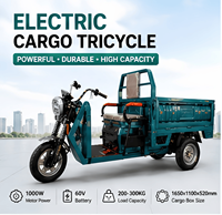 Tricycle électrique de transport en gros 800W 60V, moto à trois roues robuste avec caisse de chargement